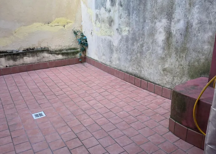 Casa Corso Corsi Piano Terra Apartament Parma